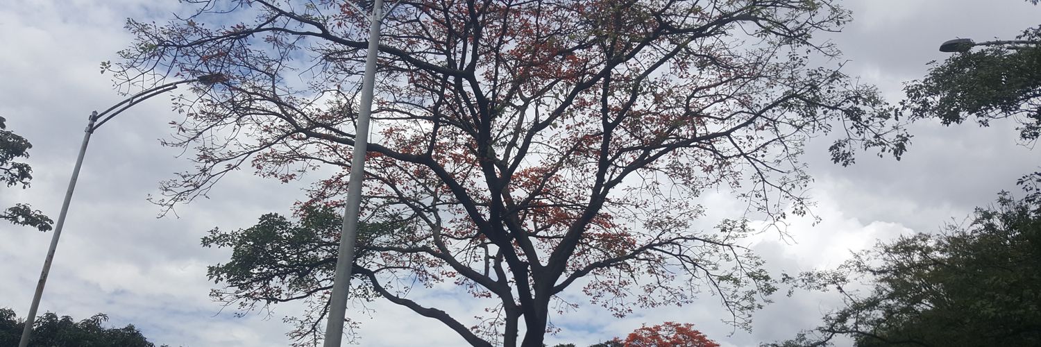 wajabe1's profile banner image