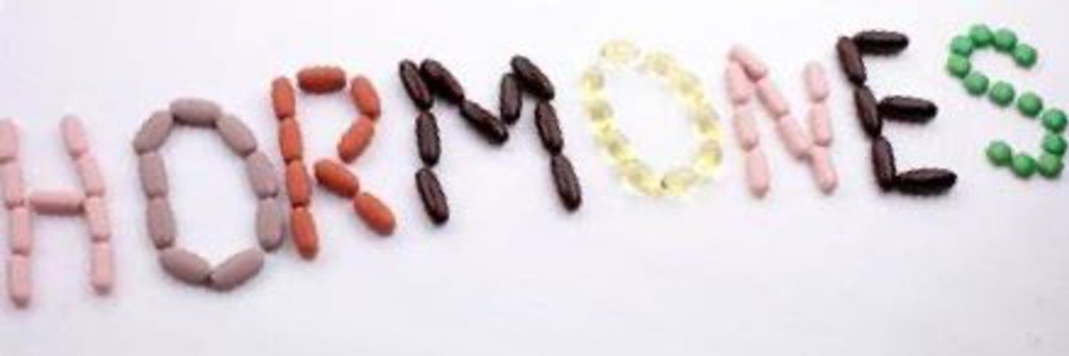 DebbieHormone's profile banner image
