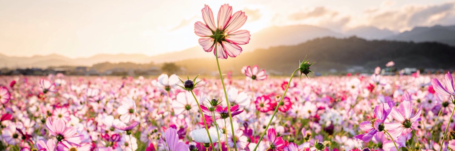 a_bel_z's profile banner image
