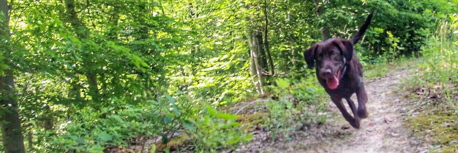 ajcarroll15's profile banner image