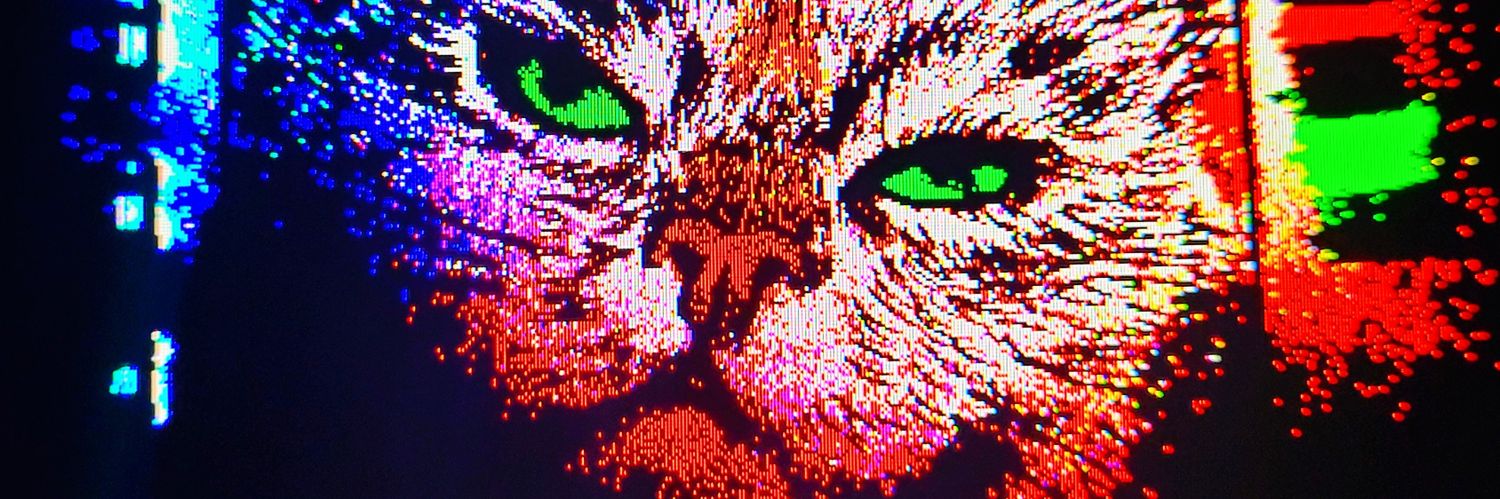 kellyarrand's profile banner image