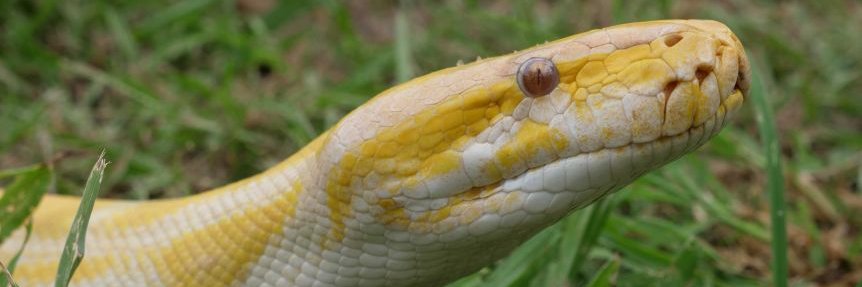 Daniel Heredia Mejias banner