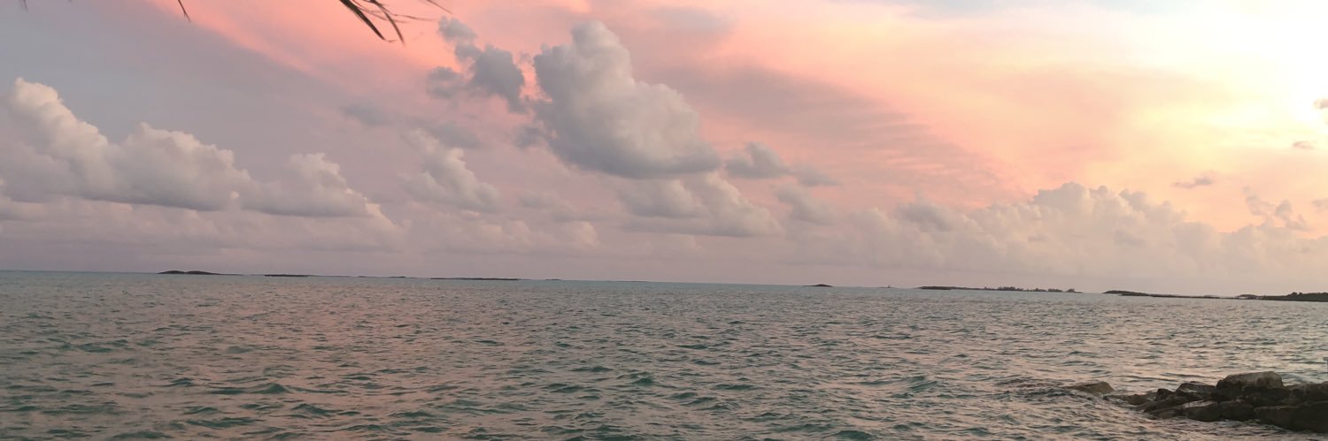 Timbearrr's profile banner image