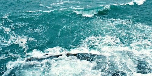 rayancargdr's profile banner image