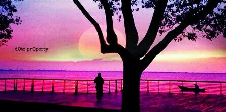 SolveyTorres's profile banner image