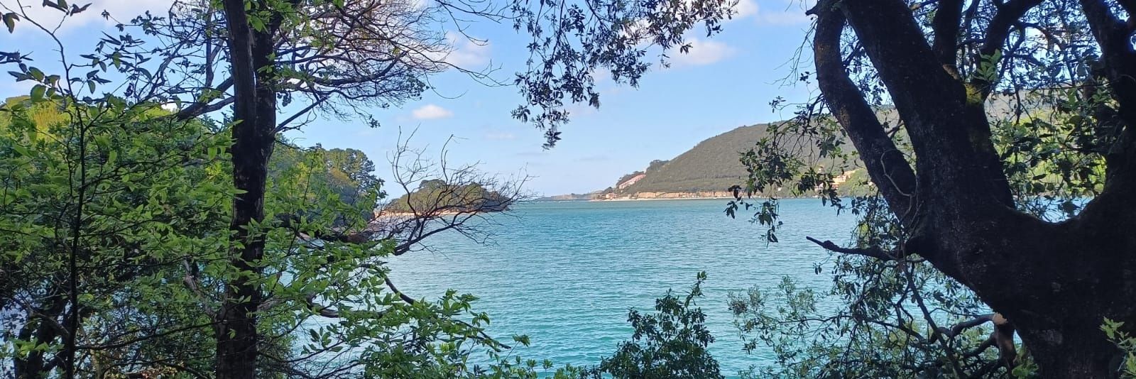 Luchóg 🅾️ banner