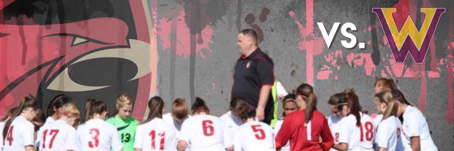 Skyline Soccer banner