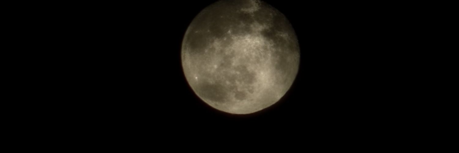 Zootdom's profile banner image