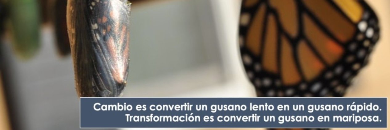 Guillermo Rius banner