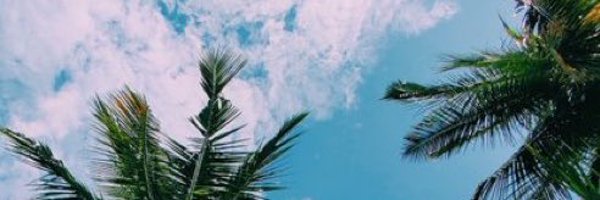 TrillaryDanks Profile Banner