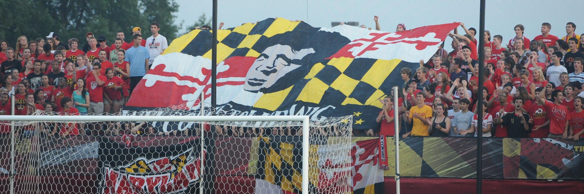 Sasho Cirovski banner