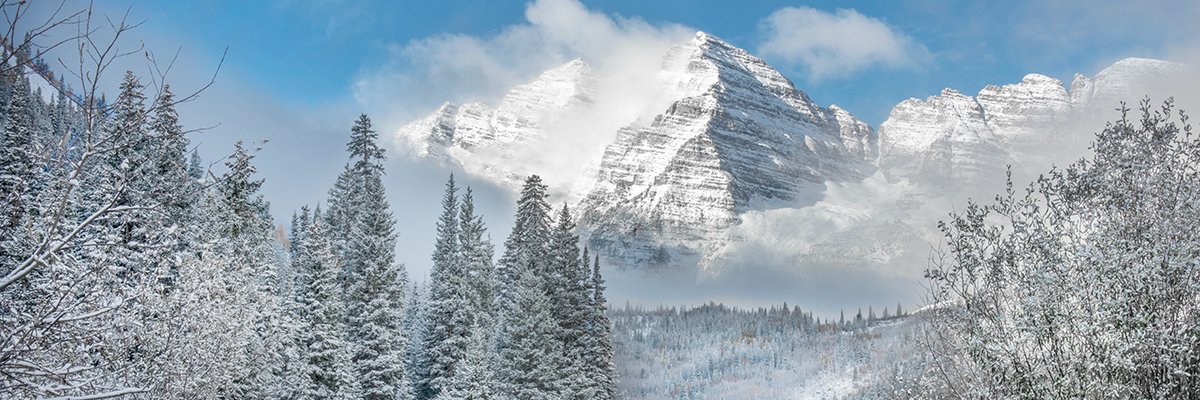 Henry Crown Fellows banner