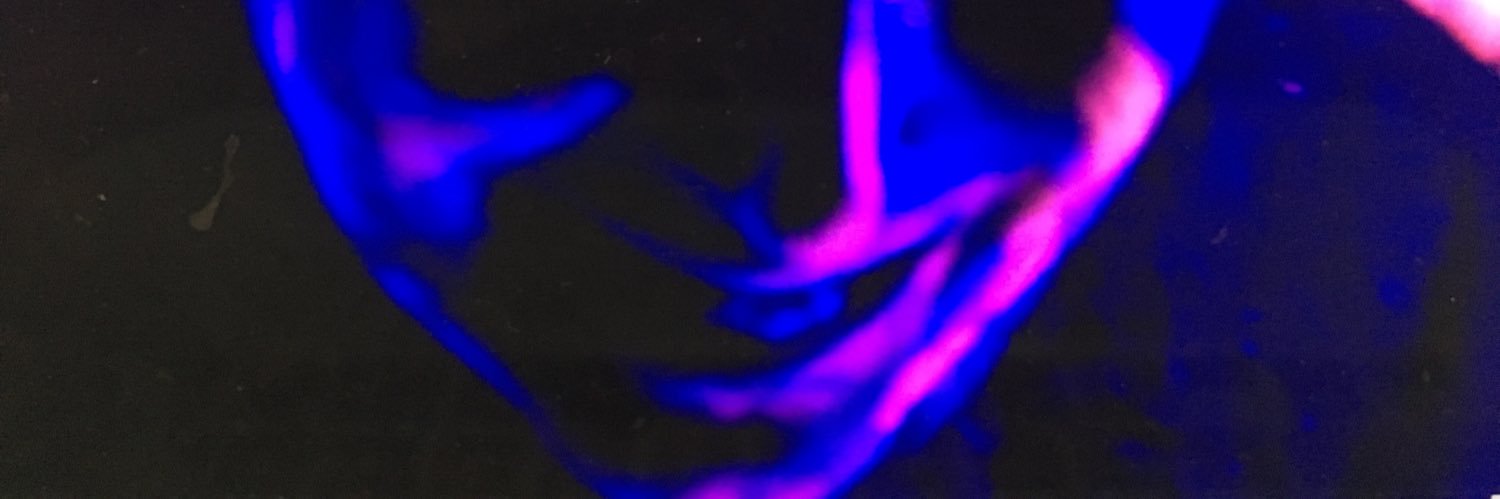 poodlepoolfart's profile banner image