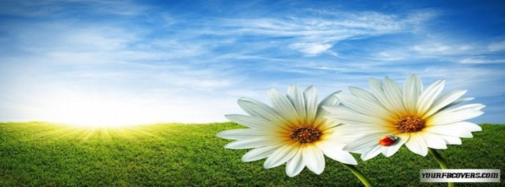 _Nancynga's profile banner image