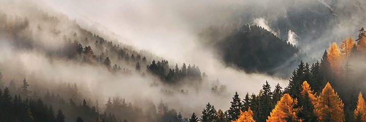 neeelvin's profile banner image