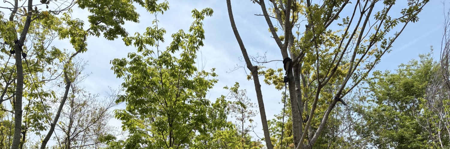 ymymmi's profile banner image
