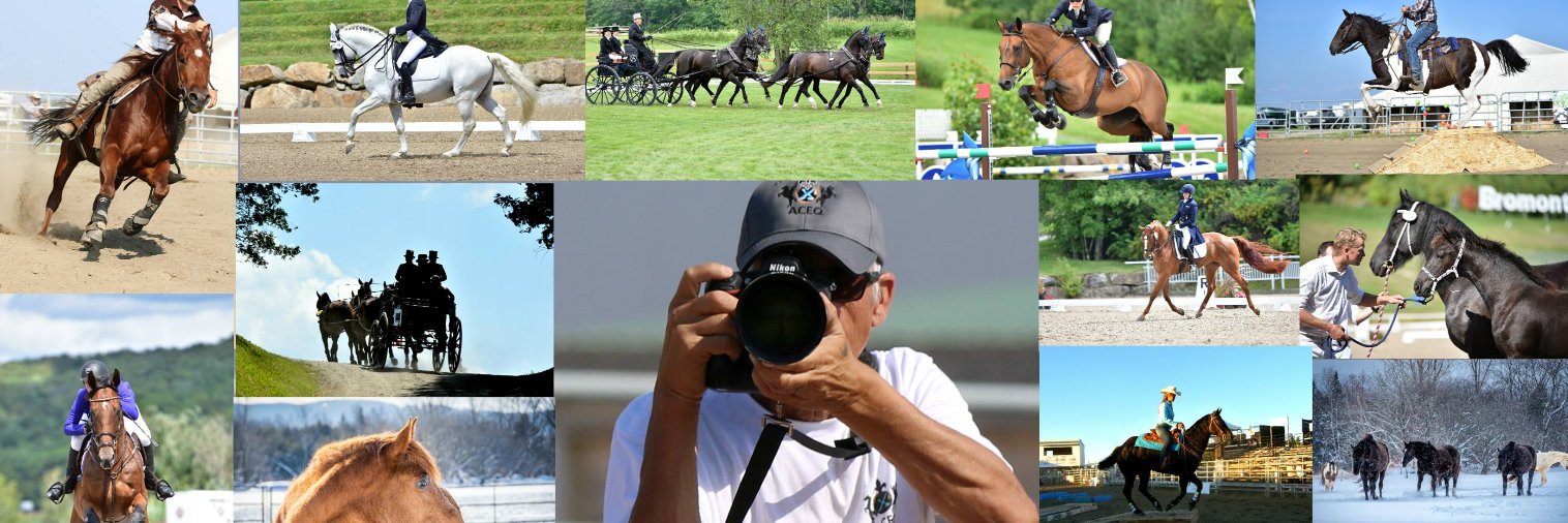 BackInBromont's profile banner image