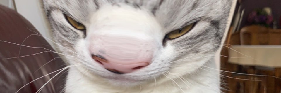 Aanavn's profile banner image