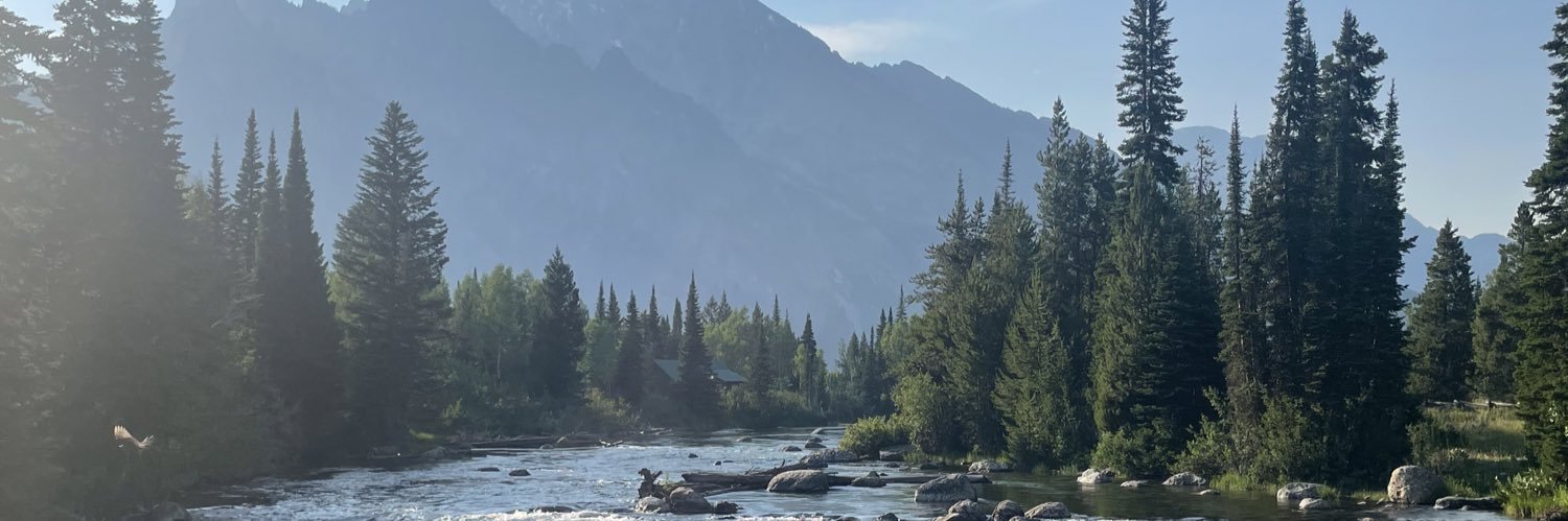 Rachel Ferraris 🐘 banner