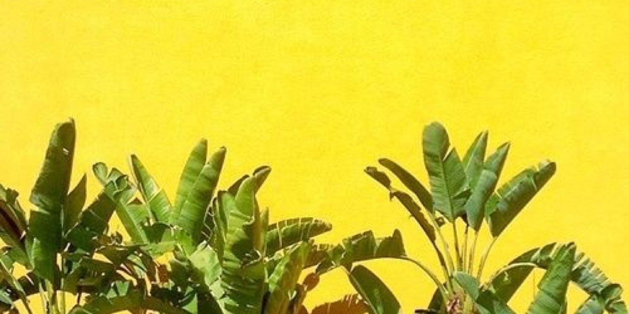 THELUXLA's profile banner image