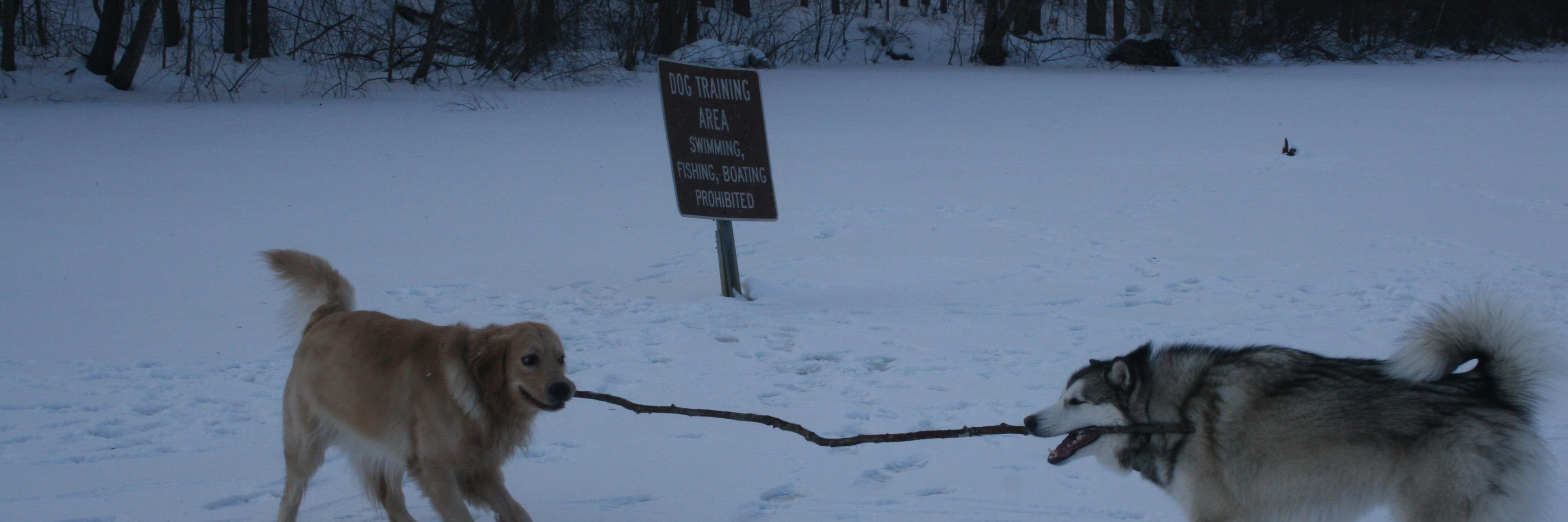 LuvChaplin's profile banner image