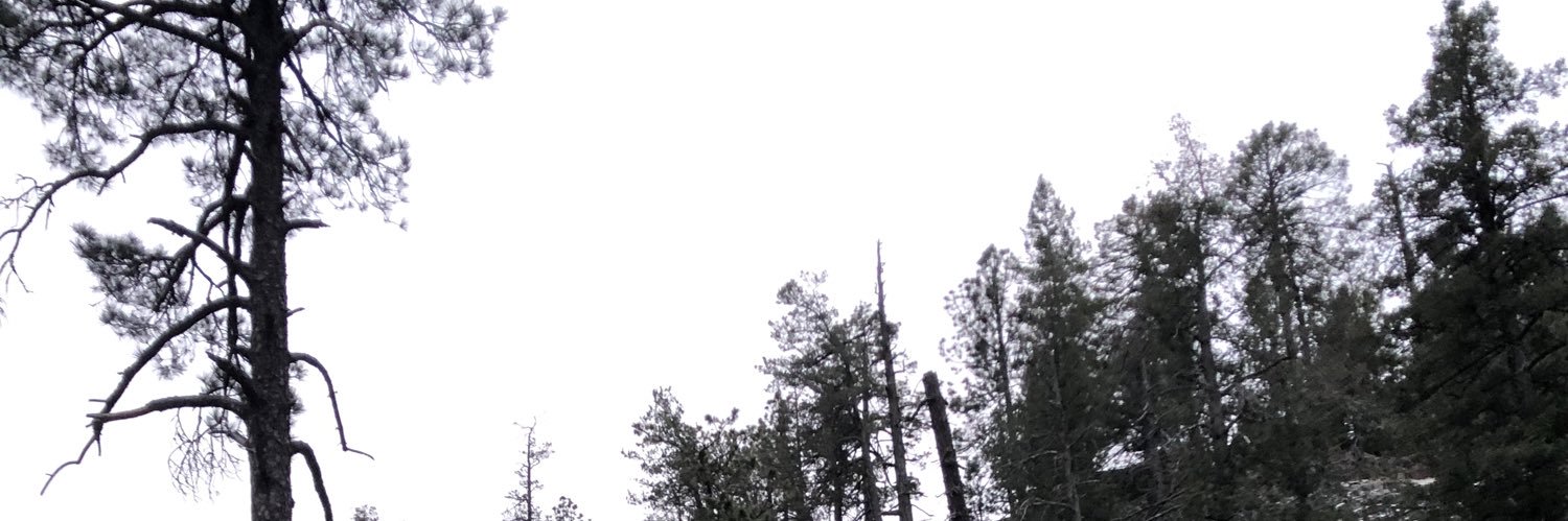 simplicitydeion's profile banner image