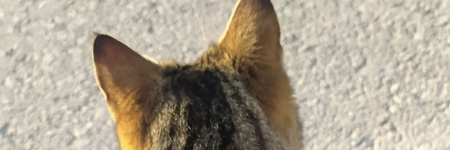 emiineakbas's profile banner image