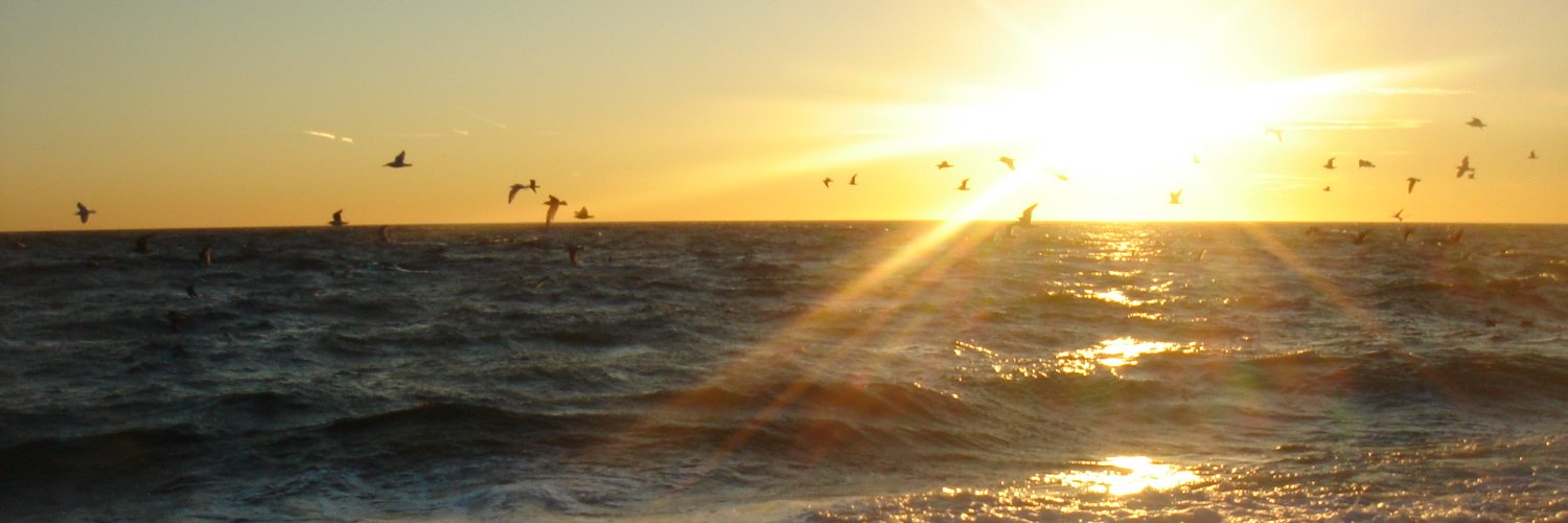 IngridMorfin's profile banner image