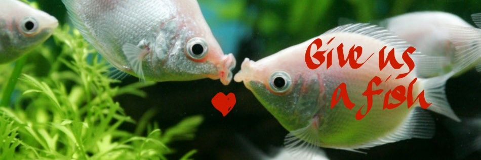 Fishhour's profile banner image