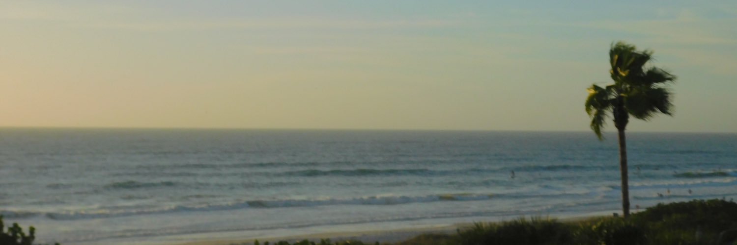pattykohn's profile banner image