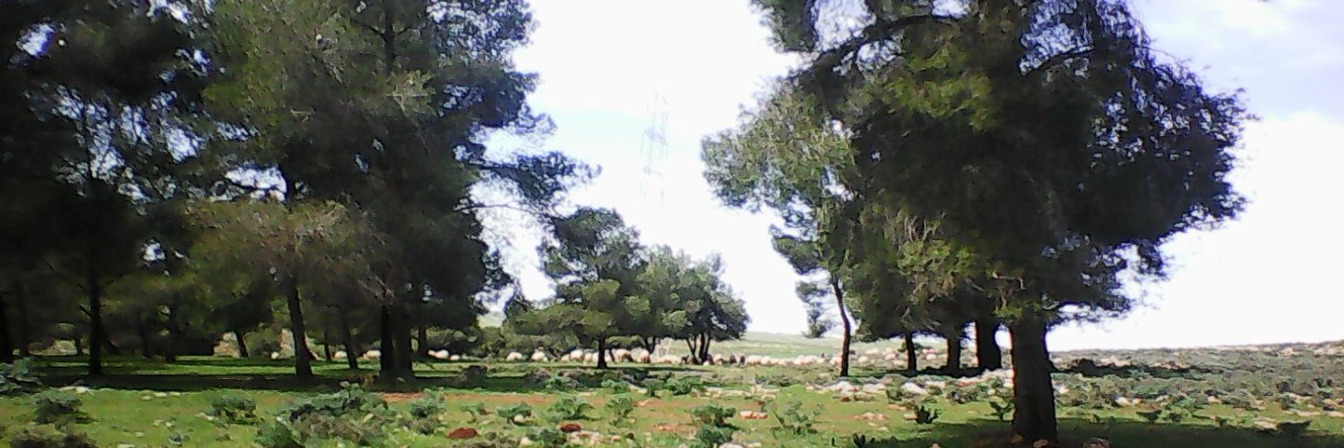 elmaahob's profile banner image