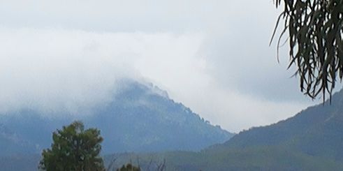 phoolermoton's profile banner image