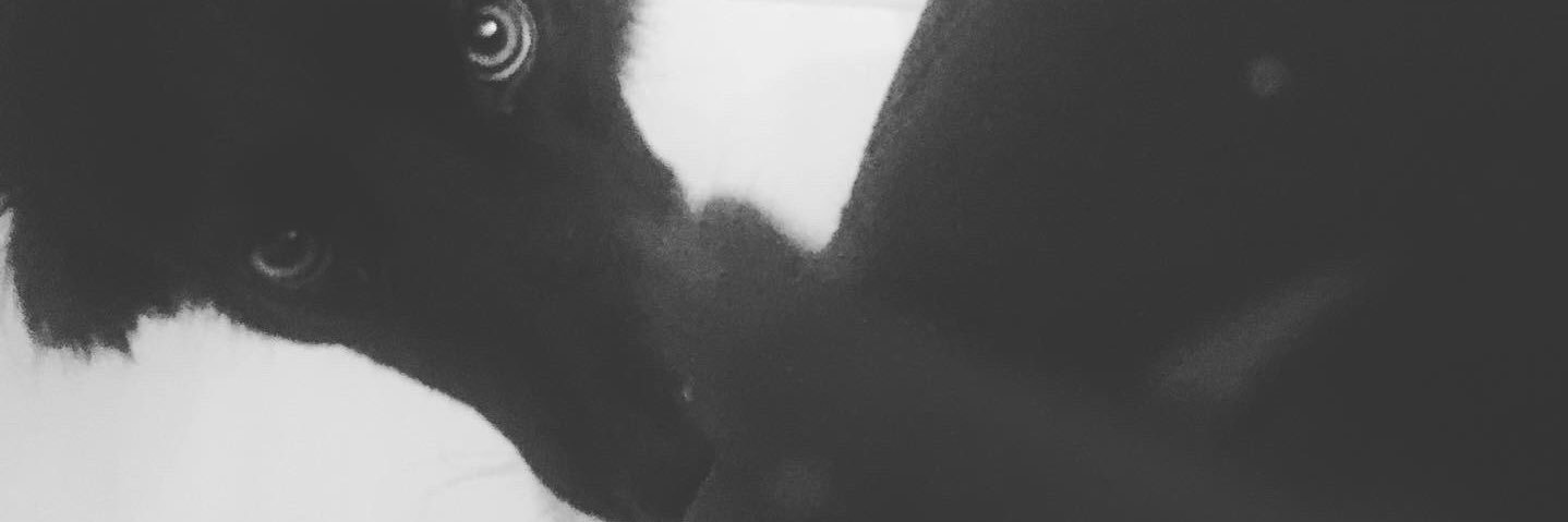 _mireladepaula's profile banner image