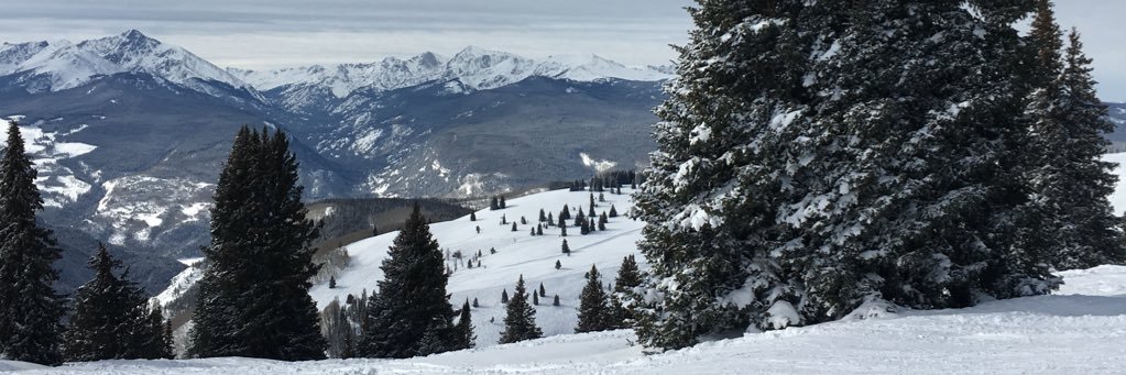 BrettKraus's profile banner image