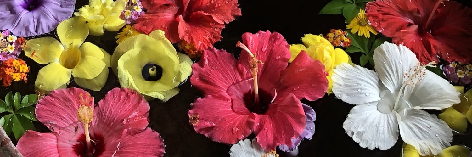 Tako3616's profile banner image