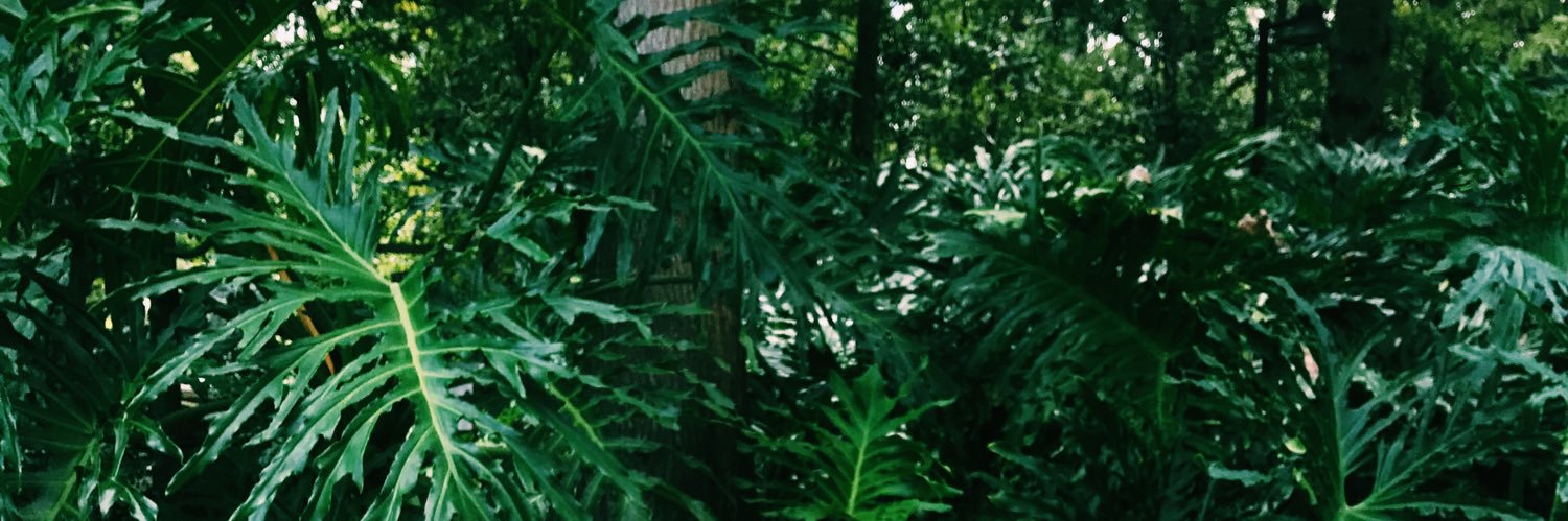 leylaaaa_arroyo's profile banner image