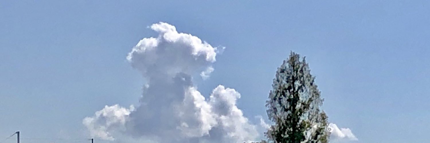 cockapoo_st's profile banner image