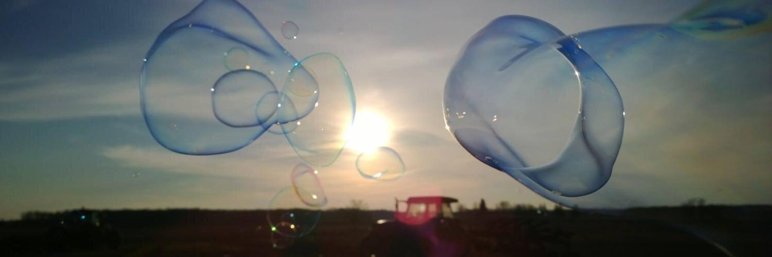 Shane Dingman banner