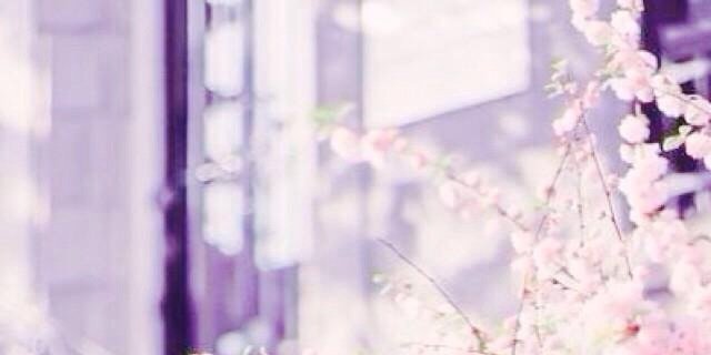 a_aadk's profile banner image
