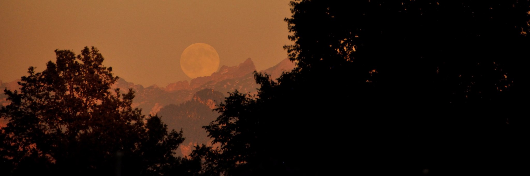 David Roberts banner