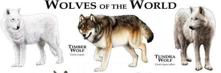 1104Tapia's profile banner image