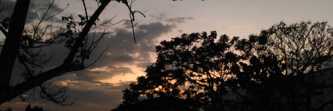 jeavil_'s profile banner image