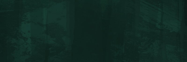 sun_ny12's profile banner image