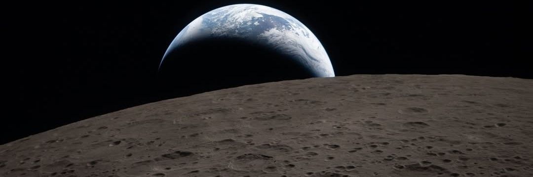 Dogtora 🇨🇱 🐈🐕 banner