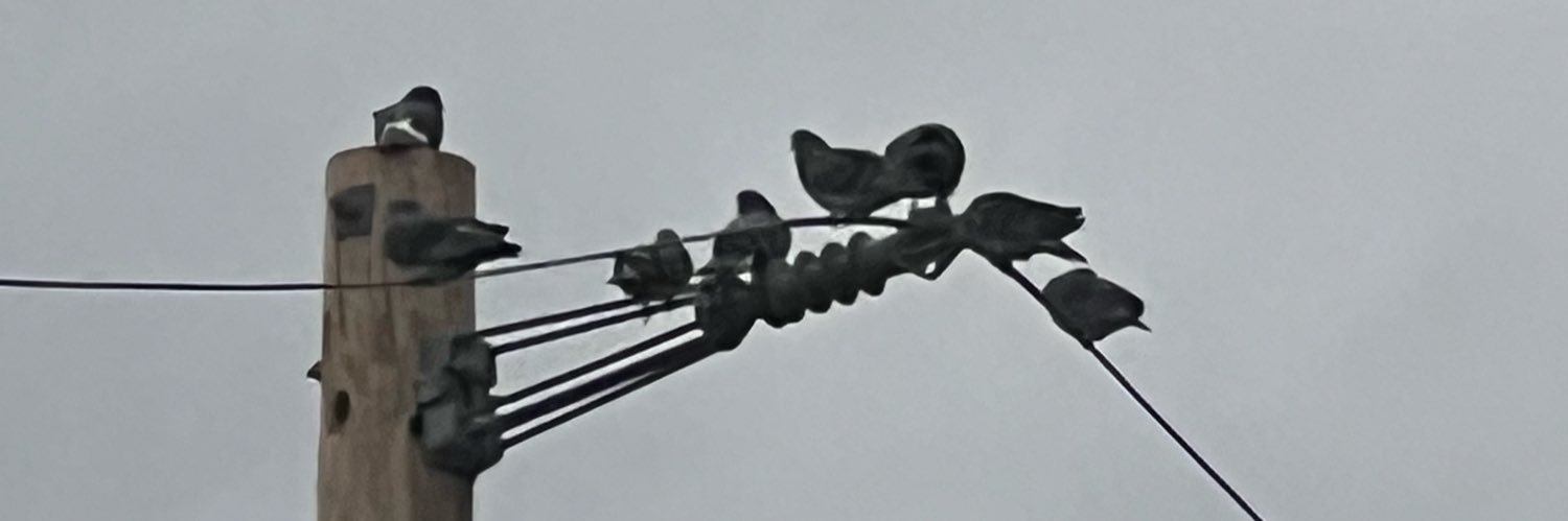 ChristieCodi's profile banner image