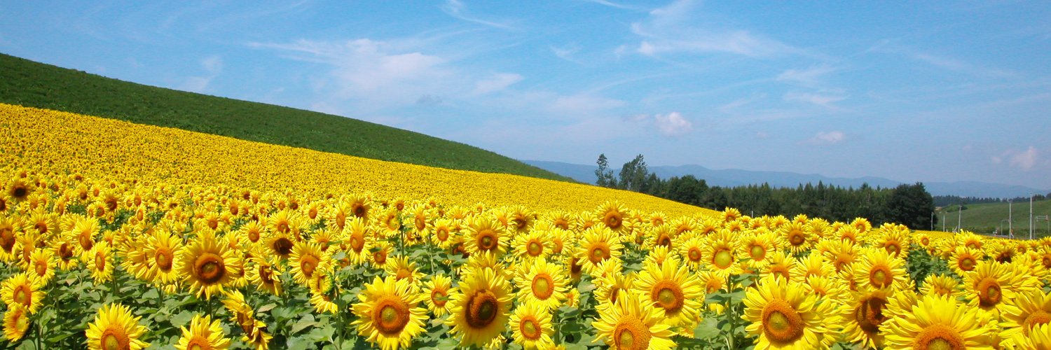 sgy01121's profile banner image
