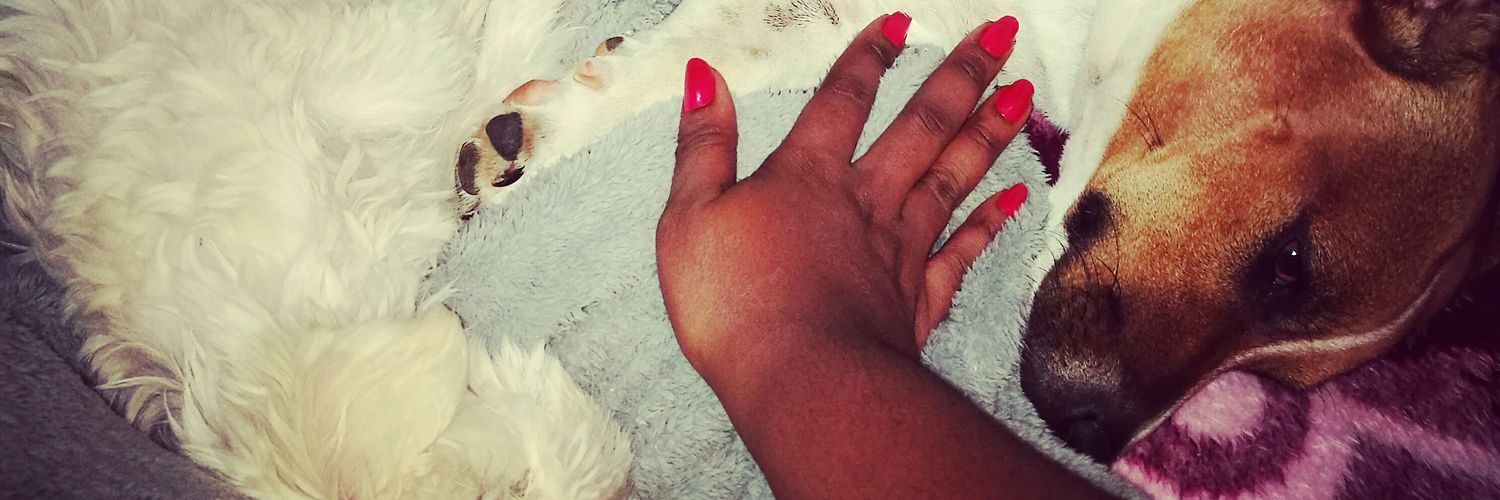Bawsebear's profile banner image