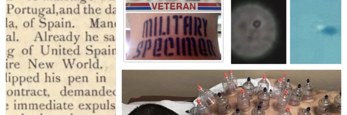 Military Specimen Royal De La New World Rosa banner