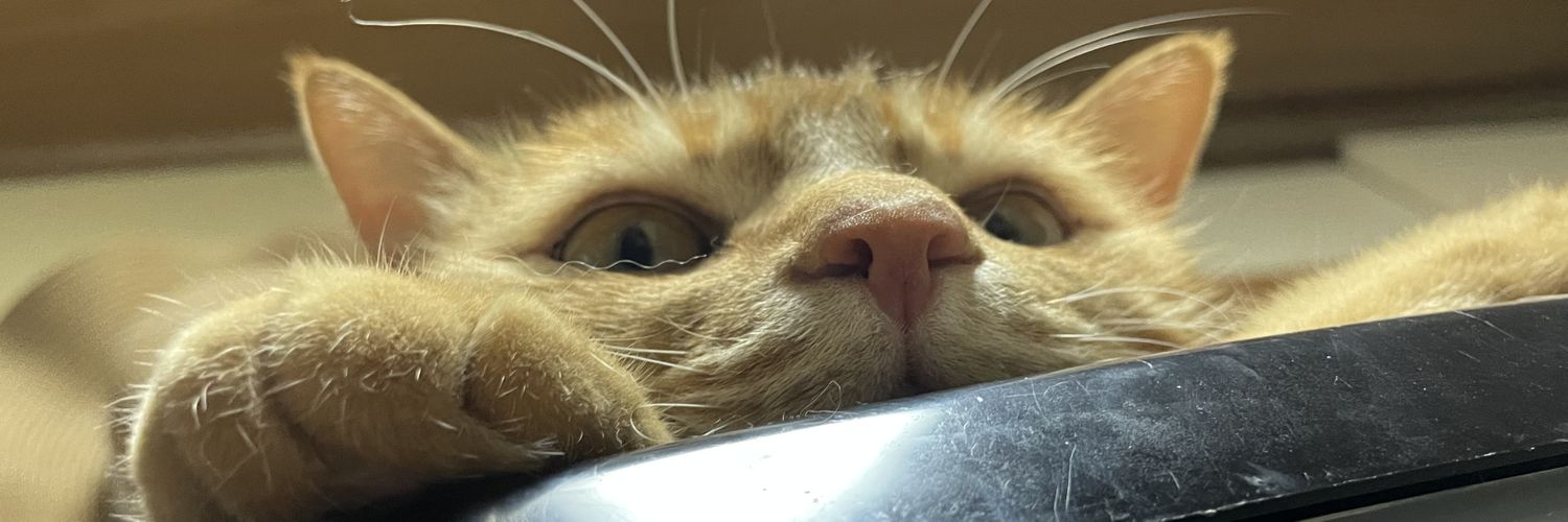 水無月み遊🥳3/19スナックみ遊 banner