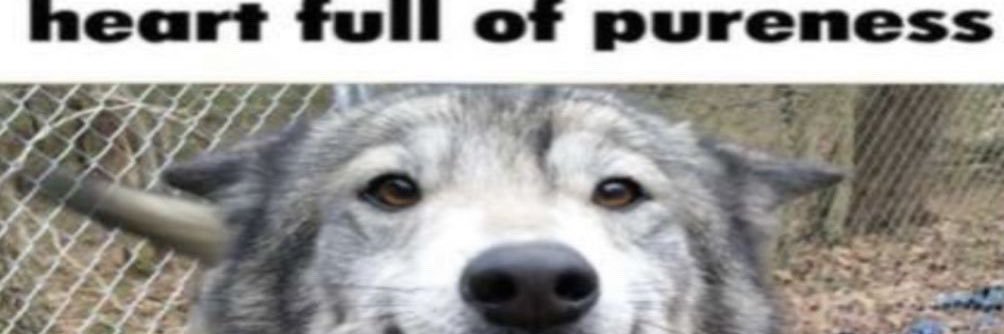 Kalverian's profile banner image